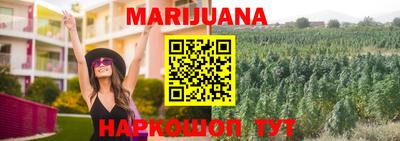 гашик Янаул