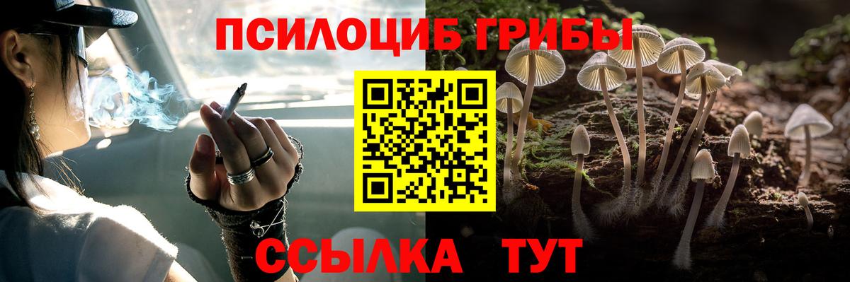Галлюциногенные грибы прущие грибы  Вход с VPN  купить наркотик  Усть-Джегута 