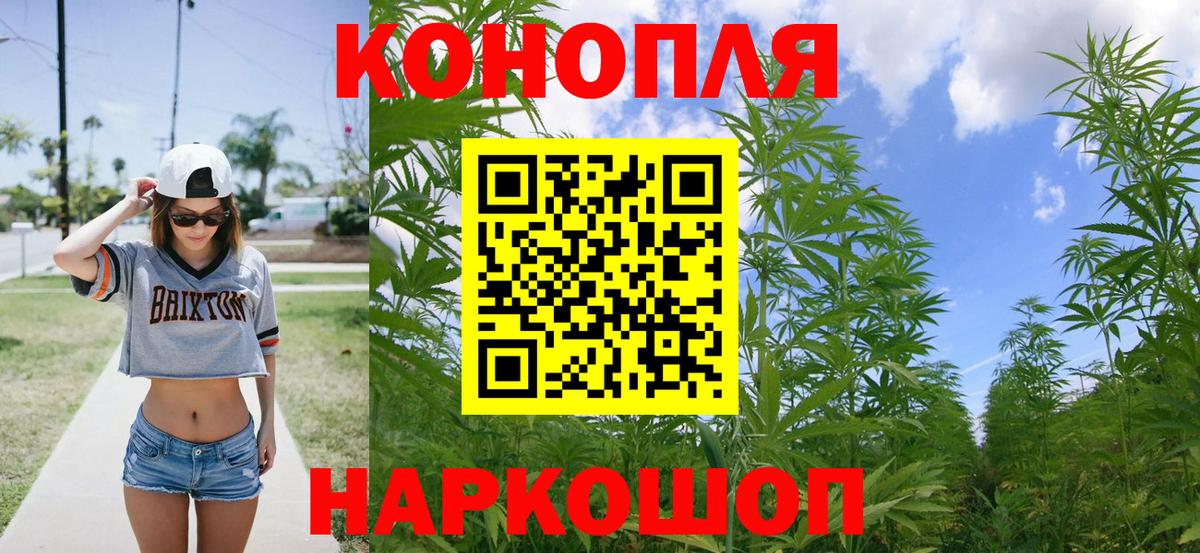 Усть-Джегута  Конопля индика  Марихуана планчик  Конопля индика  Вход с VPN  Бошки марихуана план 